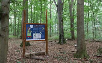 Naturlehrpfad »Der Baumschatz von Schuenhagen« – Station 5 – Baumgeist »Fagia«