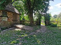 Blühende Kastanie vor dem Pfarrgarten in Starkow