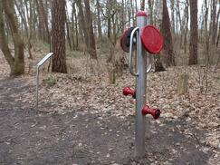 Aktivpark Boltenhagen, Waldpromenade – Massagegerät