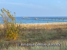 Seebrücke Boltenhagen