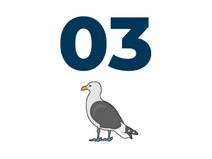   Ostseebad Boltenhagen Redewisch Strandaufgang 03