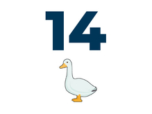   Ostseebad Boltenhagen  Strandaufgang 14