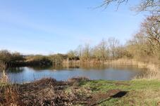 Wanderung zum Mäuseturm – Stellshagener Teich