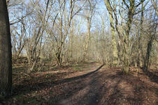 Wanderung zum Mäuseturm