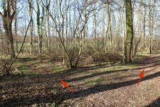 Wanderung zum Mäuseturm