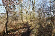 Wanderung zum Mäuseturm