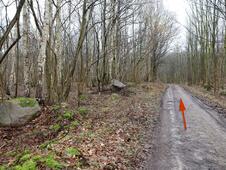 Wanderung – Mammutbäume Lenorenwald – Markante Steine