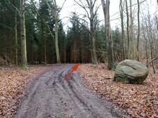 Wanderung – Mammutbäume Lenorenwald – Markanter Stein am Wegdreieck