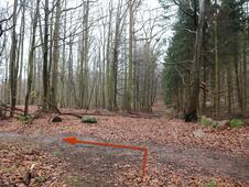 Wanderung – Mammutbäume Lenorenwald – Steine an der Wegkreuzung