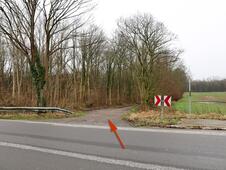 Wanderung – Mammutbäume Lenorenwald