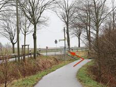 Wanderung – Mammutbäume Lenorenwald  – Treppe