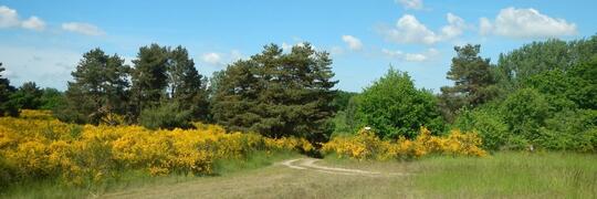 Naturpark Sternberger Seenland