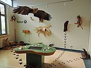 Naturparkzentrum Sternberger Seenland Warin