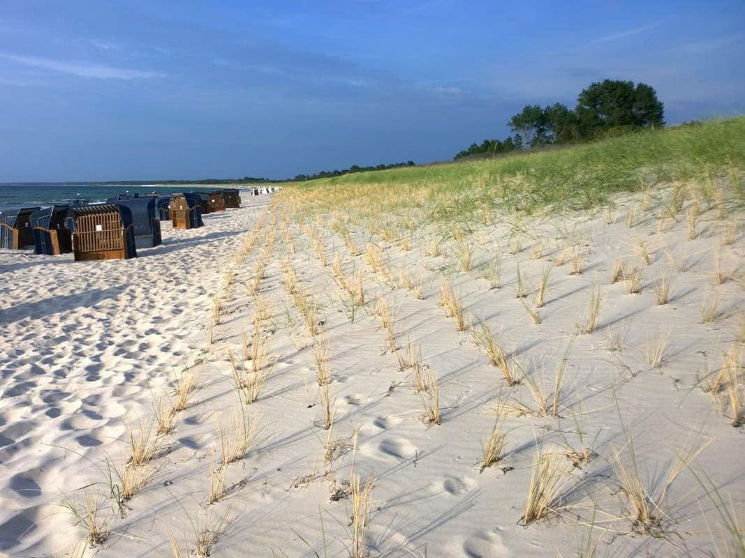 Düne mit Strandhafer