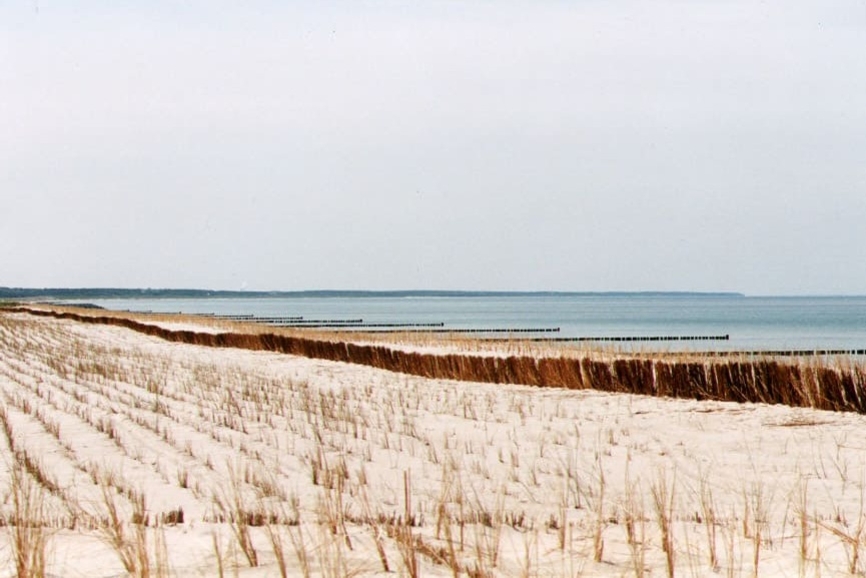 Düne mit Strandhafer