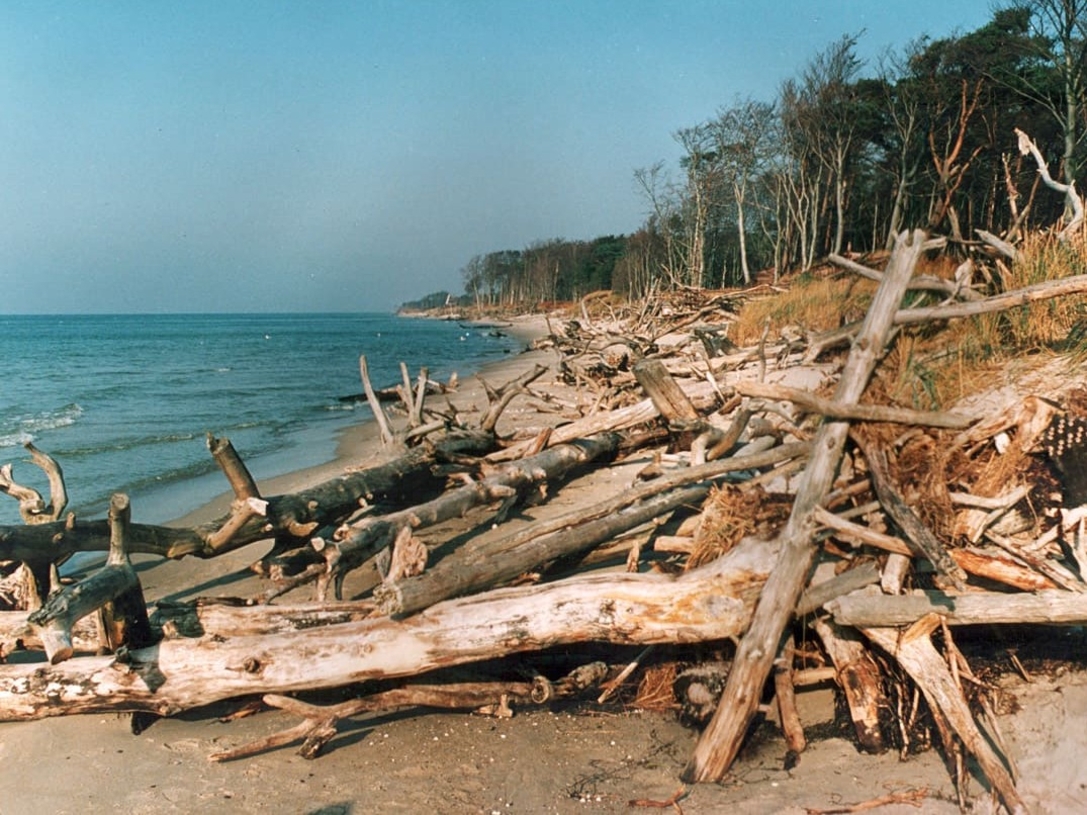 Darßer Weststrand nach Herbststurm