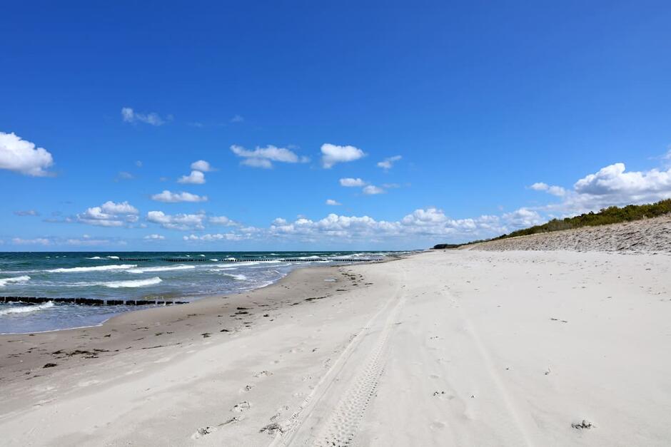 Blog: Die Strandfinder-Story