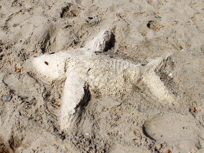 Fisch