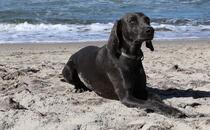 Museen Mecklenburg-Vorpommern