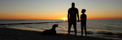 Sonnenuntergang mit Hund