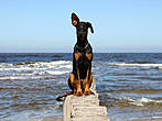 Ostseeurlaub mit Hund