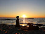 Ostseeurlaub mit Hund