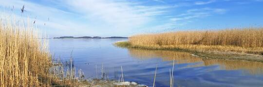 Achterwasser bei Stagnieß Insel Usedom