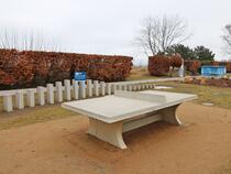 Promenade Ahlbeck: Tischtennisplatte