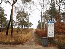   Ahlbeck  Strandabgang 1 D