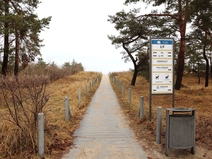   Ahlbeck  Strandabgang 1 F