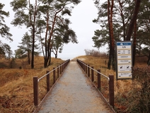   Ahlbeck  Strandabgang 1 G