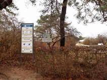   Ahlbeck  Strandabgang 1 J