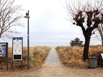   Ahlbeck  Strandabgang 1 M