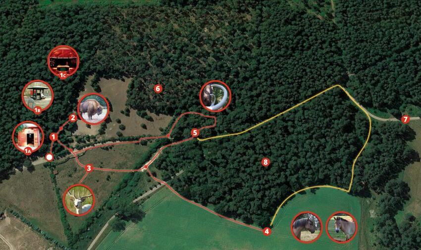 Wisentpark Usedom - Lageplan