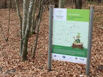 Kinderheilwald Heringsdorf