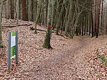 Kinderheilwald Heringsdorf - Entdeckerreise