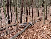 Kinderheilwald Heringsdorf - Treppenkönig