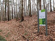 Kinderheilwald Heringsdorf - Tiere nachahmen