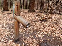 Kinderheilwald Heringsdorf - Fluestertelefon