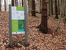 Kinderheilwald Heringsdorf - Adleraugen