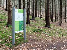 Kinderheilwald Heringsdorf - Atmung