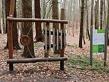 Kinderheilwald Heringsdorf - Klangbaum