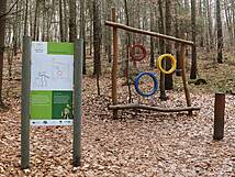 Kinderheilwald Heringsdorf - Wurfspiel