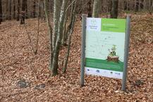 Kinderheilwald Heringsdorf