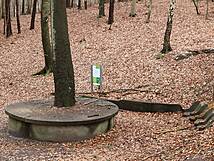 Kinderheilwald Heringsdorf - Steinerner Tisch