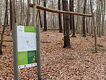 Kinderheilwald Heringsdorf - Hangeln