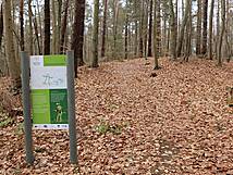 Kinderheilwald Heringsdorf - Waldbarfusspfad