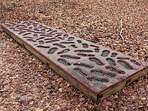 Kur- und Heilwald Heringsdorf - Fußstapfen