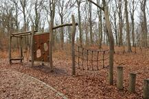 Kur- und Heilwald Heringsdorf - Kletterparcours