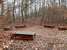 Kur- und Heilwald Heringsdorf - meditative  Bewegung